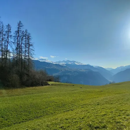 Casa Leyu Mitten In * Ruschein