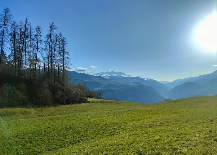 Casa Leyu Mitten In * Ruschein