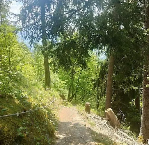 Casa Leyu Mitten In Daire Ruschein